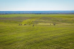 DJI_20251010052849_0687_D_web