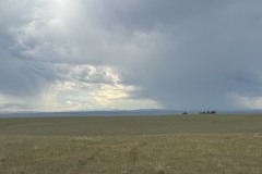 IMG_6642