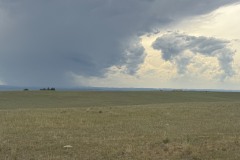 IMG_6644