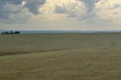 IMG_6645