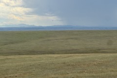 IMG_6646