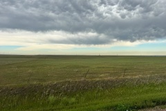 IMG_6648