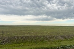 IMG_6649